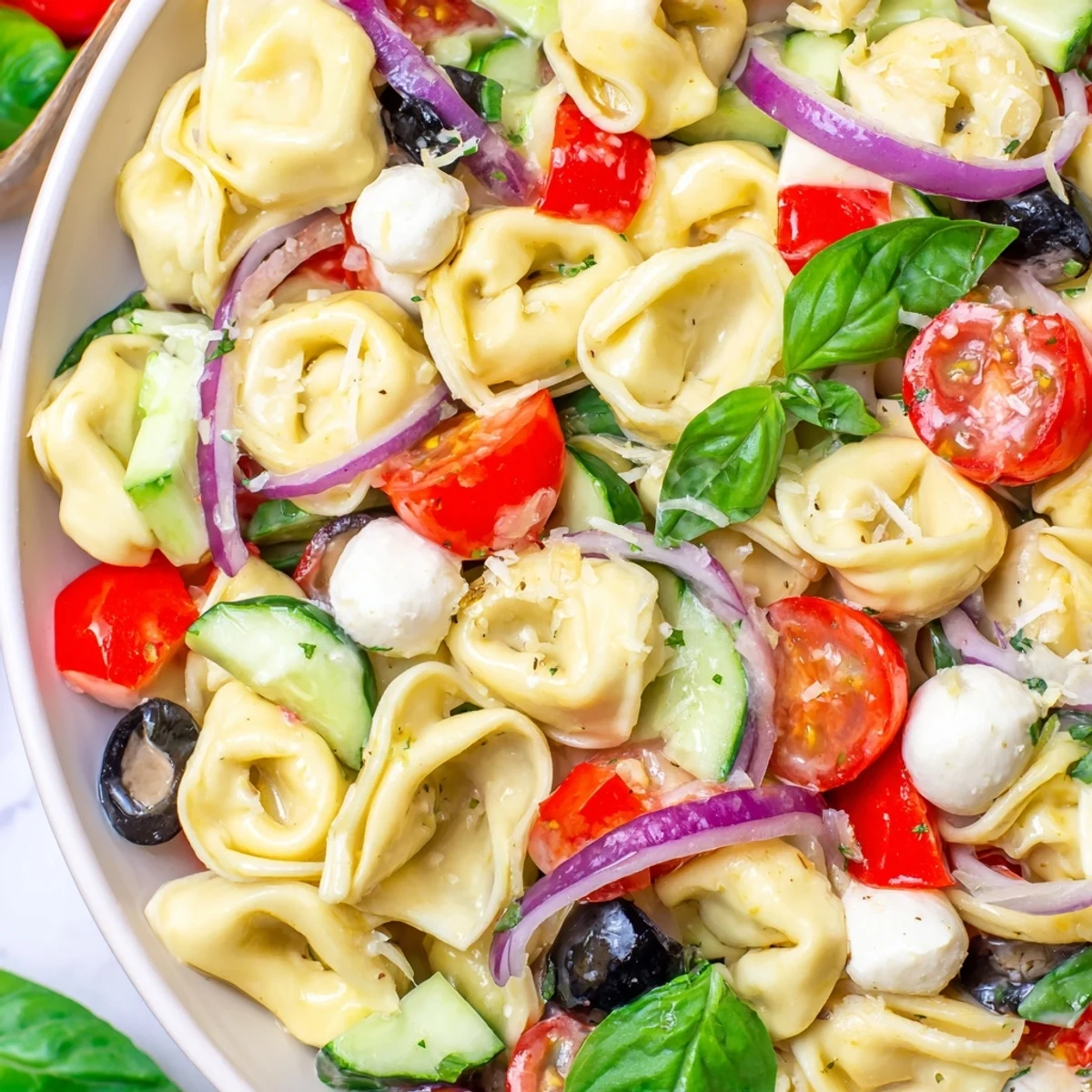 Colorful tortellini salad with cherry tomatoes, cucumber, and mozzarella tossed in zesty Italian dressing