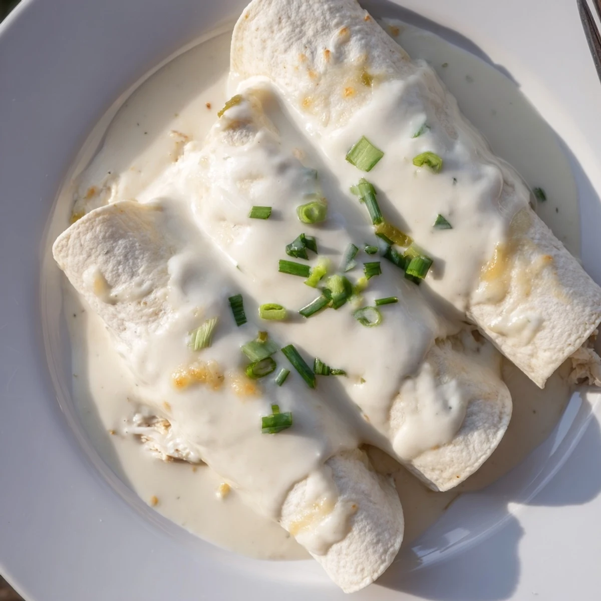 Plate of Creamy White Chicken Enchiladas garnished with cilantro and sliced green onions  